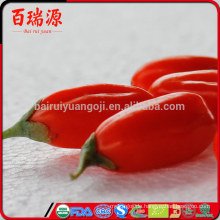 Drachefrucht in China goji Beeren Vitamin goji Beerenanlagen